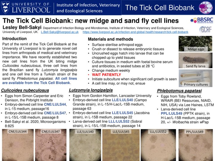 Lesley Bell Sakyi: The Tick Cell Biobank: new midge and sand fly cell lines 