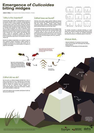 Dr Jess Stokes: Emergence of Culicoides biting midges