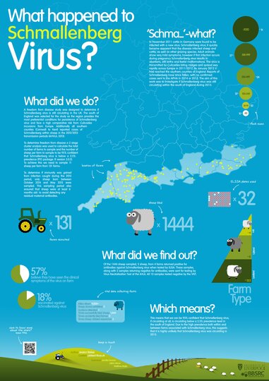 Dr Jess Stokes: What happened to Schmallenberg Virus?