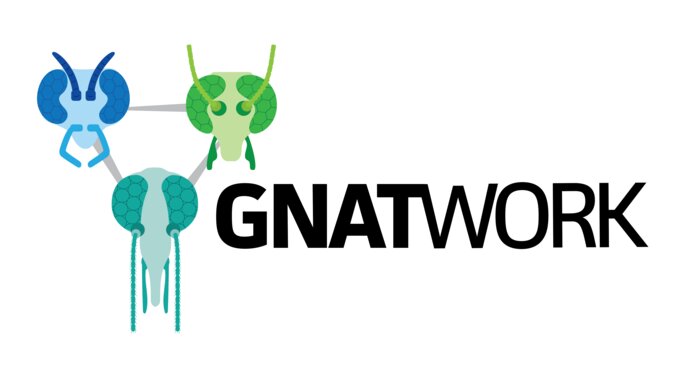 The Gnatwork