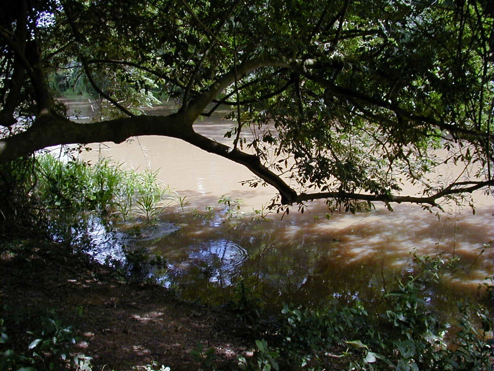 Chocolatal bathing site