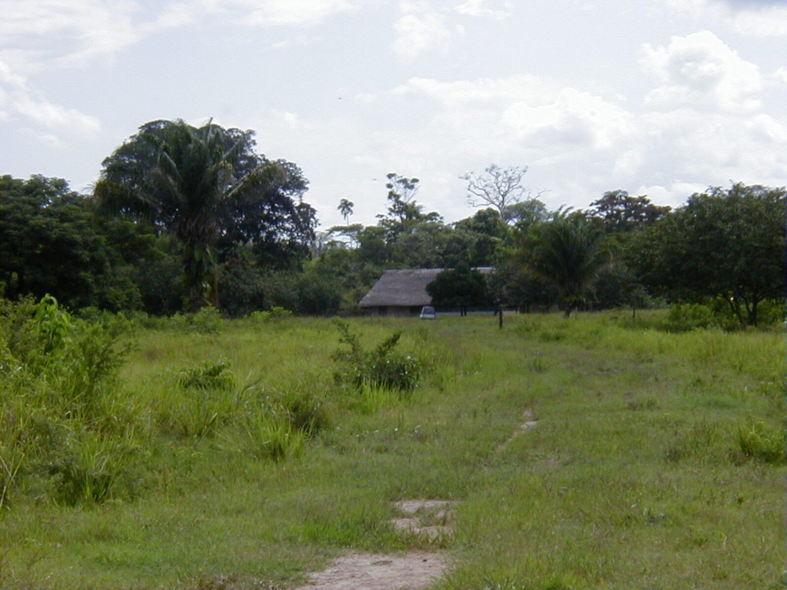 Chocolatal farm, Santa Cruz, Bolivia