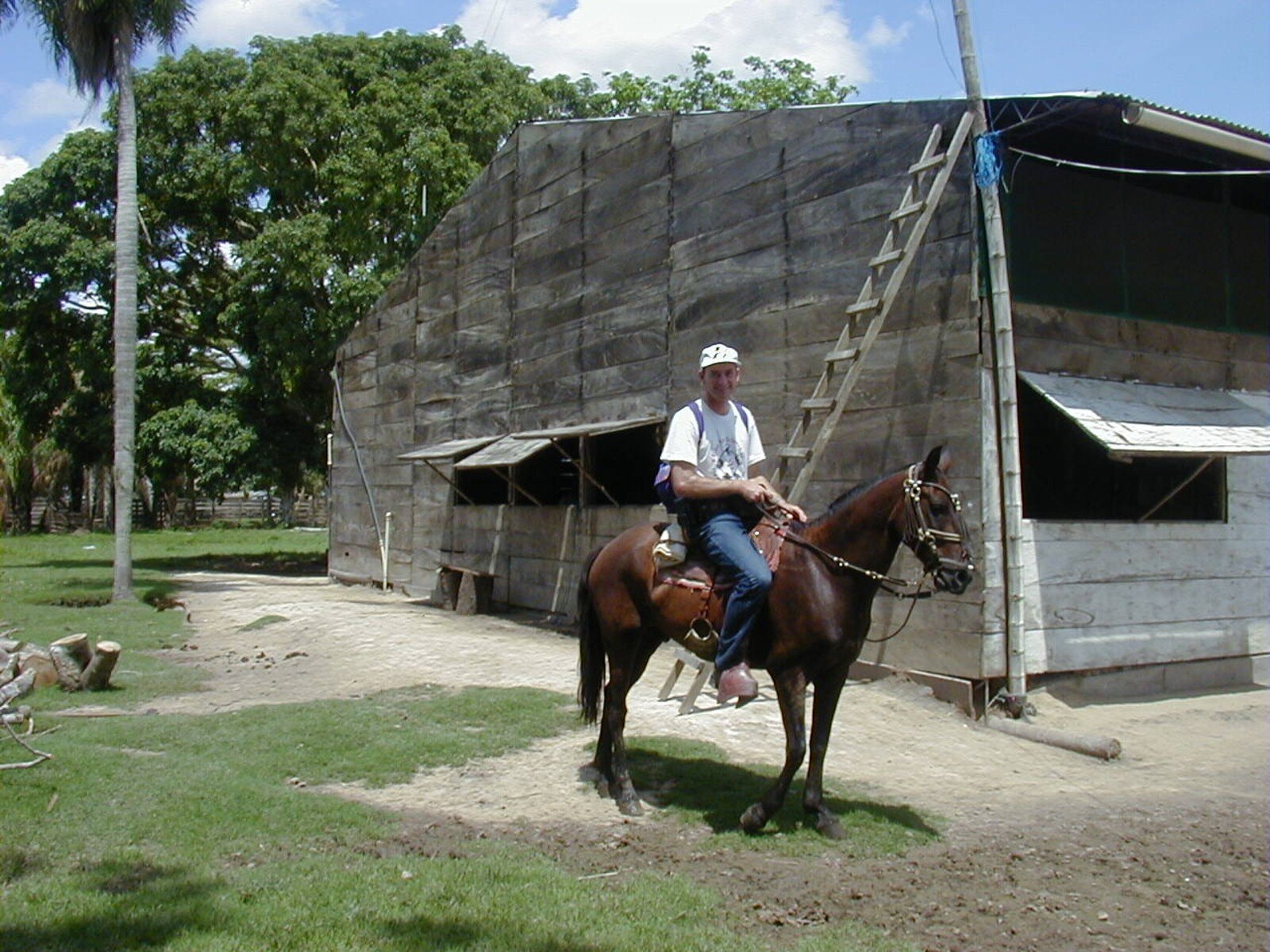 One way to catch horse flies – get yourself a horse!