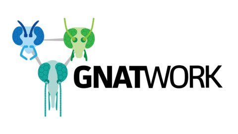 The Gnatwork