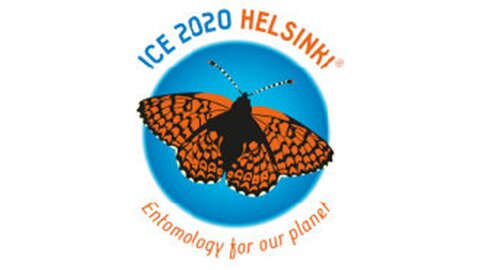 ICE 2020