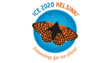 ICE 2020